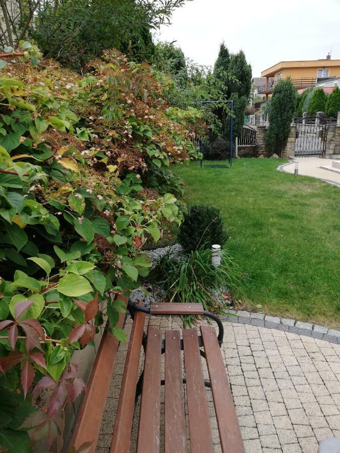 Apartament Bardzo Popularny 볼레스와비에츠 외부 사진