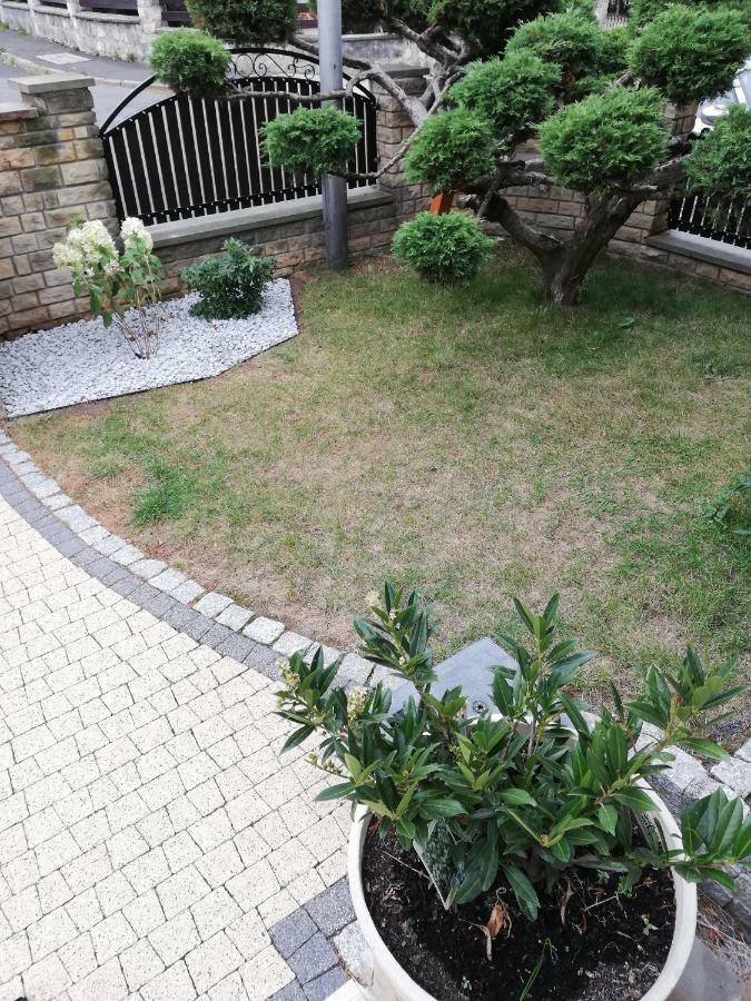 Apartament Bardzo Popularny 볼레스와비에츠 외부 사진