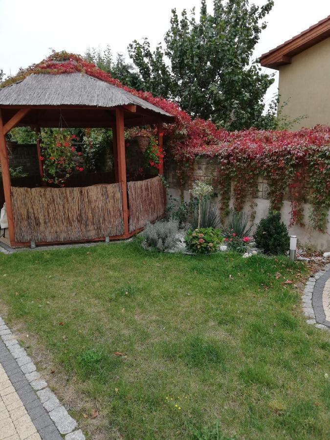 Apartament Bardzo Popularny 볼레스와비에츠 외부 사진